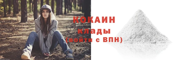 apvp Ладушкин