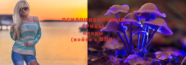 apvp Ладушкин