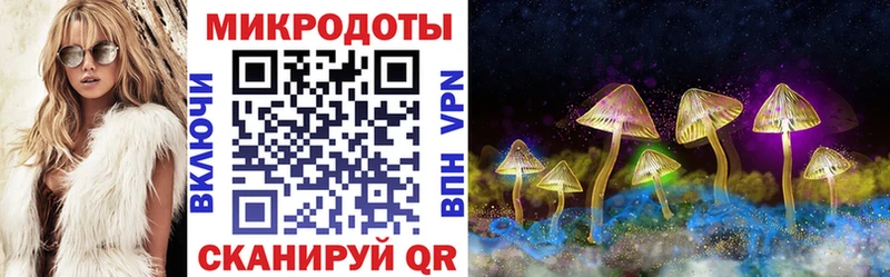 Галлюциногенные грибы Psilocybe Яранск